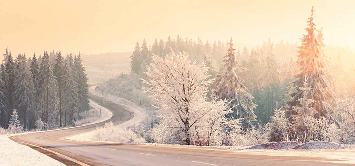 Winter_landscape_2021_1200x563